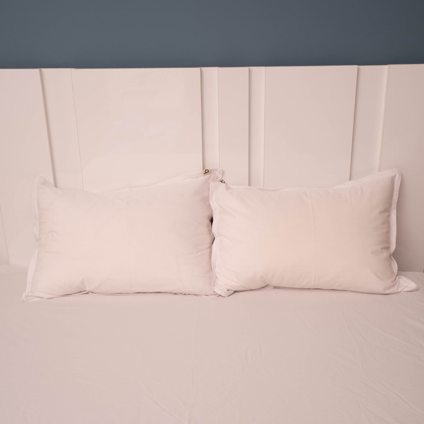 OFF WHITE PERCALE PREMIUM COTTON BED SHEET