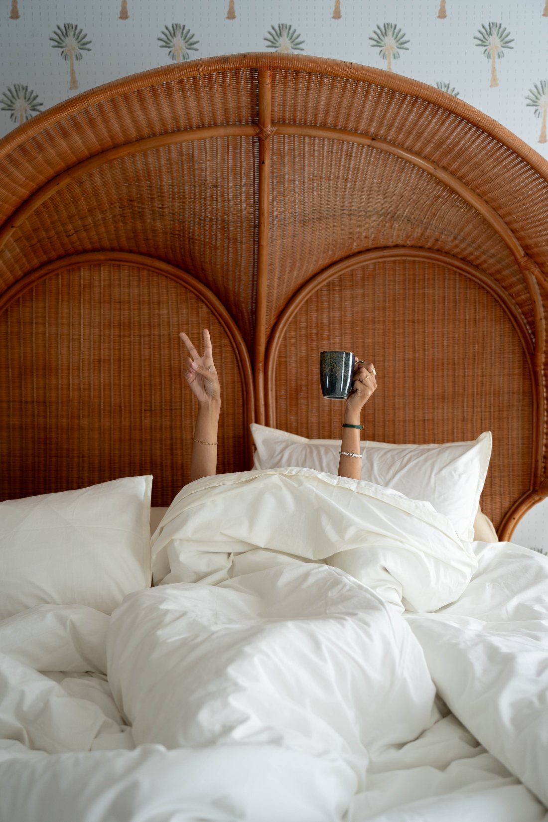 BedCheats lifestyle